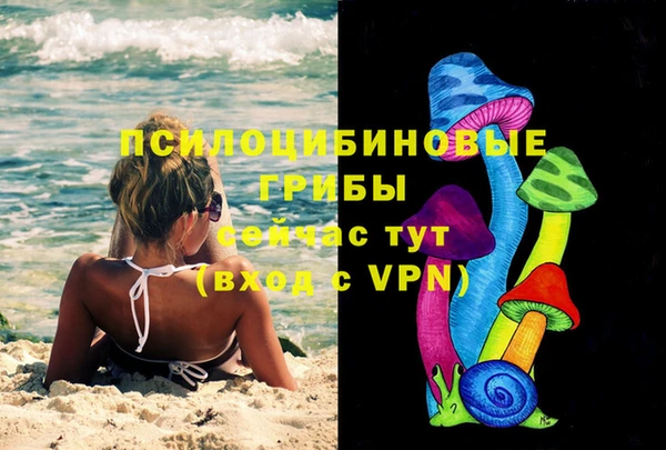твердый Абинск