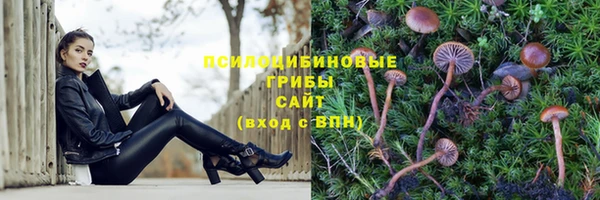 твердый Абинск