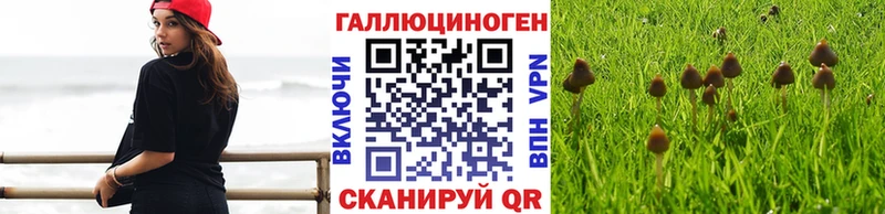 где купить наркоту  площадка наркотические препараты  Псилоцибиновые грибы ЛСД  Южноуральск 